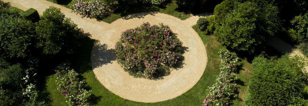 jardin-de-rose-1000px