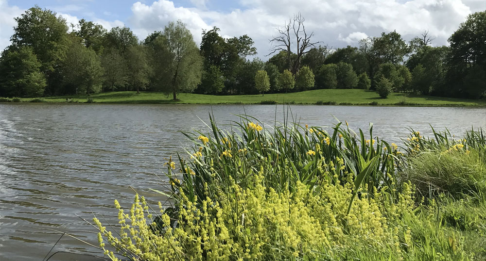 rive-aux-oiseaux-1000px